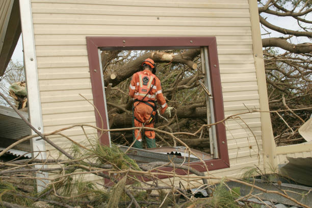 Best Storm Damage Tree Cleanup  in Upper Exeter, PA